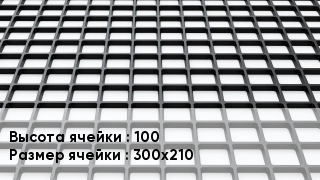 Георешетка 100 Ячейка: 300х210